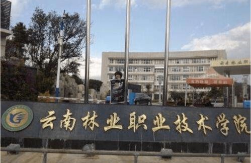 专科比较好的大学