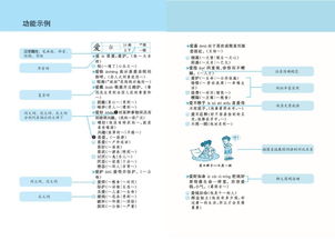 功能近义词是什么词，功能近义词有哪些