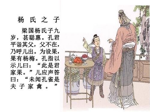 古文《杨氏之子》 的主要意思