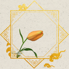 可怜九月初三夜露似珍珠月似弓是什么季节，可怜九月初三夜露似珍珠月似弓 是写什么的