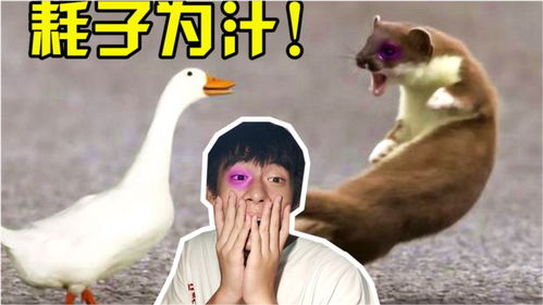 简笔画——快速画鹅简单画一只大白鹅