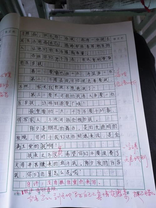 压岁钱优秀作文