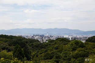 东南山是什么山，东南山在哪个城市