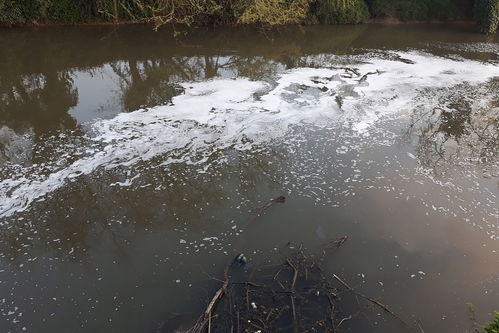 环境污染的危害有哪些?