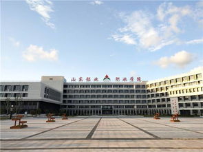山东铝业职业学院淄博校区，山东铝业职业学院是公办还是民办