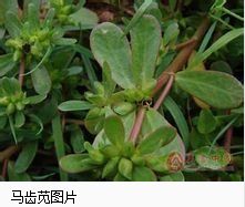 “笕”字是什么意思?