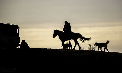 浩浩荡荡是什么意思 标准答案，浩浩荡荡是什么意思解释清楚