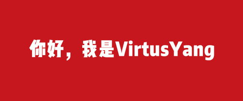 career怎么读的