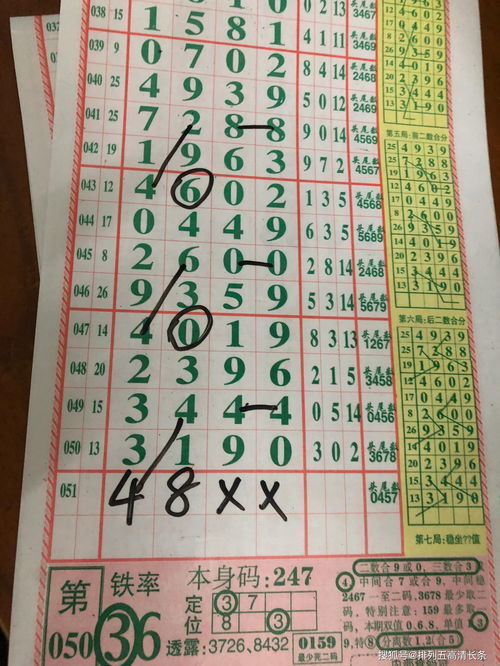 神的四字成语有哪些，带有神的四字成语