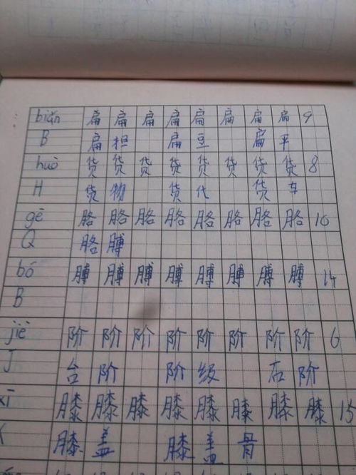 莱可以组什么词语