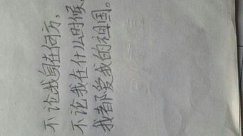 不论造句