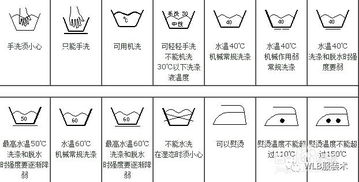 “洗涤”是什么意思?
