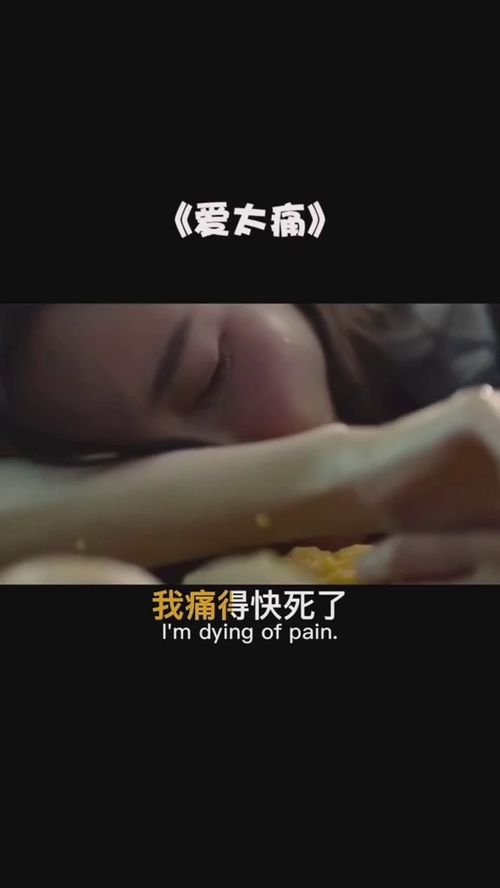 抖音能不能不爱了是什么歌 爱太痛歌词分享