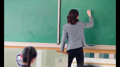 我的新班主任作文，我的新班主任作文500字初一