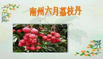南州六月荔枝丹ppt中职，南州六月荔枝丹PPT豆丁网