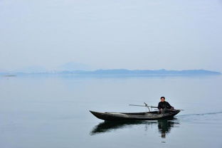 游船泛舟的意思，诗海泛舟的意思