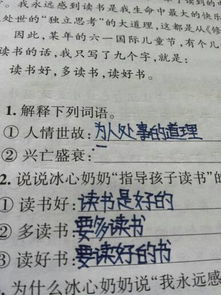 兴亡盛衰的拼音，兴亡盛衰的近义词