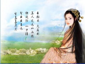 形容月亮的成语四字成语，形容月亮的成语皎洁