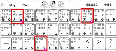 尊五笔怎么打字，兽五笔怎么打