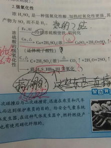 过量硫化氢和浓硫酸反应方程式，硫化氢和浓硫酸反应方程式单线桥
