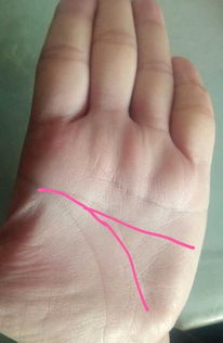 道教结印中的子纹,丑纹,寅纹等等是哪个位置?