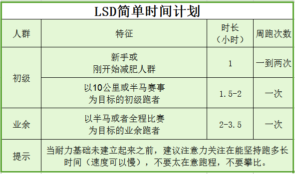 什么是LSD?