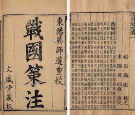 “王非战国守圉之具,其将何以当之”这句话是什么意思?