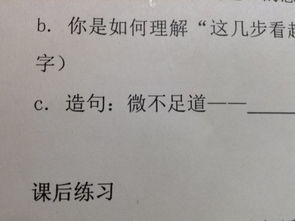 “微不足道”的近义词是什么?