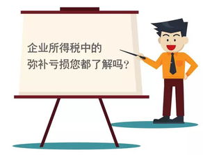 弥补是什么意思?