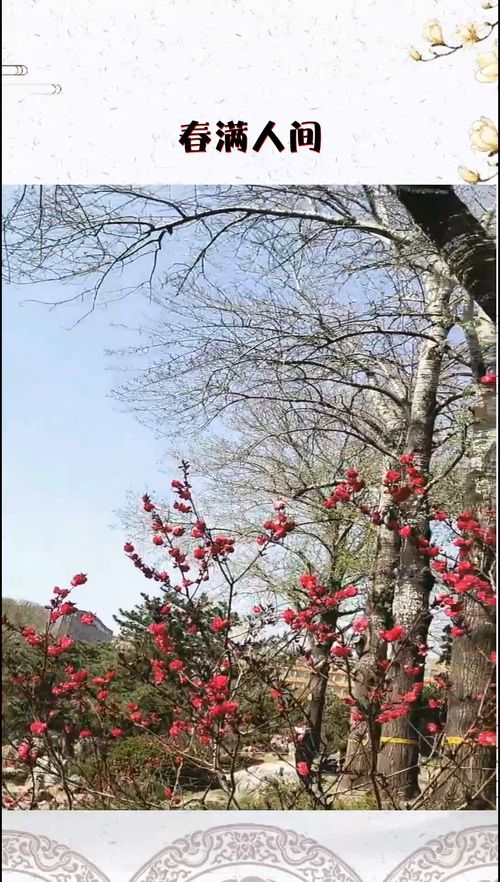 春什么人间成语