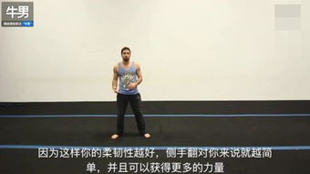 cartwheel翻译，cartwheels怎么读