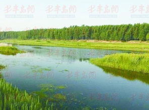 胶莱河什么时候开挖