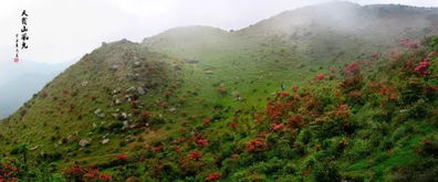 新兴天露山旅游攻略两日游