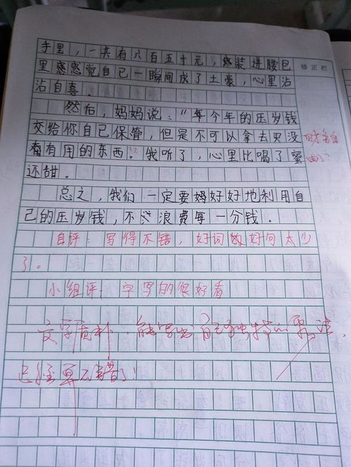 以压岁钱为话题的作文