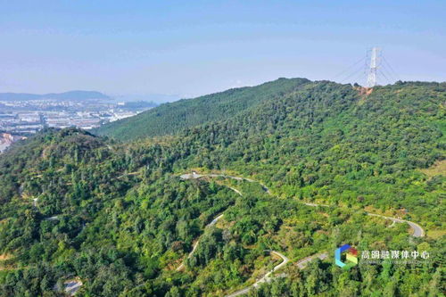 蓬山此去无多路 青鸟殷勤为探看，蓬山此去无多路