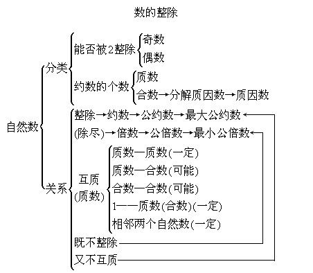 自然数和整数的关系图，自然数和整数的关系和不同