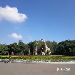 长春动植物公园有熊猫吗