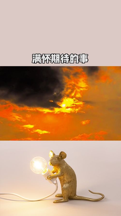 满怀的解释满怀的解释是什么