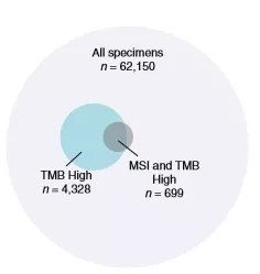 肿瘤突变负荷TMB结果是12.00mutations/mb是什么意思?