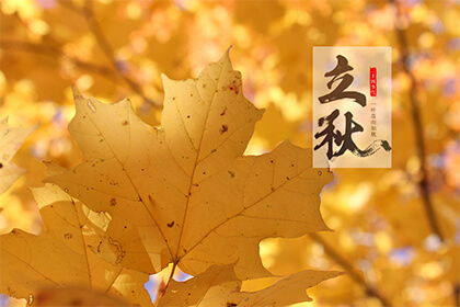 什么时候立秋