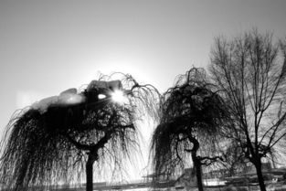 凄冷的读音和释义是什么?并用“凄冷”造句。