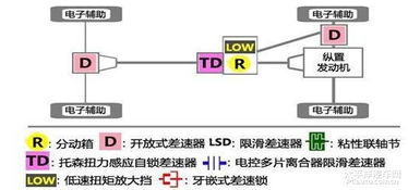 跑步的lsd是什么意思，spss中lsd是什么意思