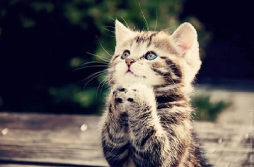 用“憧憬”怎么造句?