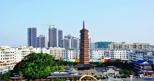 信丰天气预报15天查询百度，信丰天气预报15天查询结果