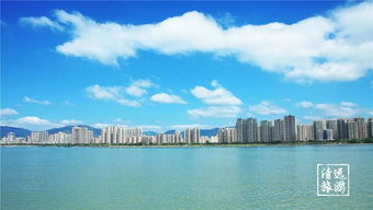 江心怎么发现江副主任