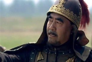 寻遇疾,太宗亲为调药,驰驿赐之的意思