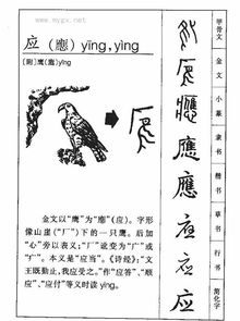 应的繁体字怎么写图片，应的繁体字怎么写好看