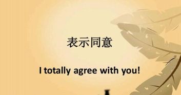 agree的过去式怎么写，agree的过去式、过去分词和现在分词