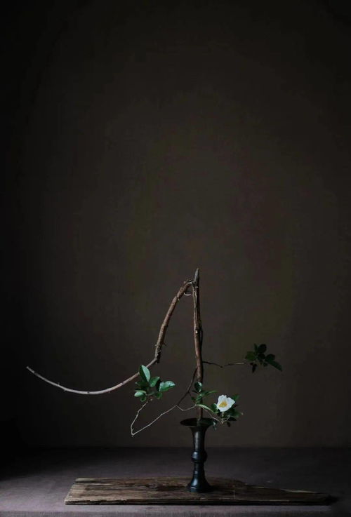 相映成趣的拼音是什么