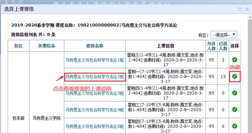 选修课,必修课的英文怎么说